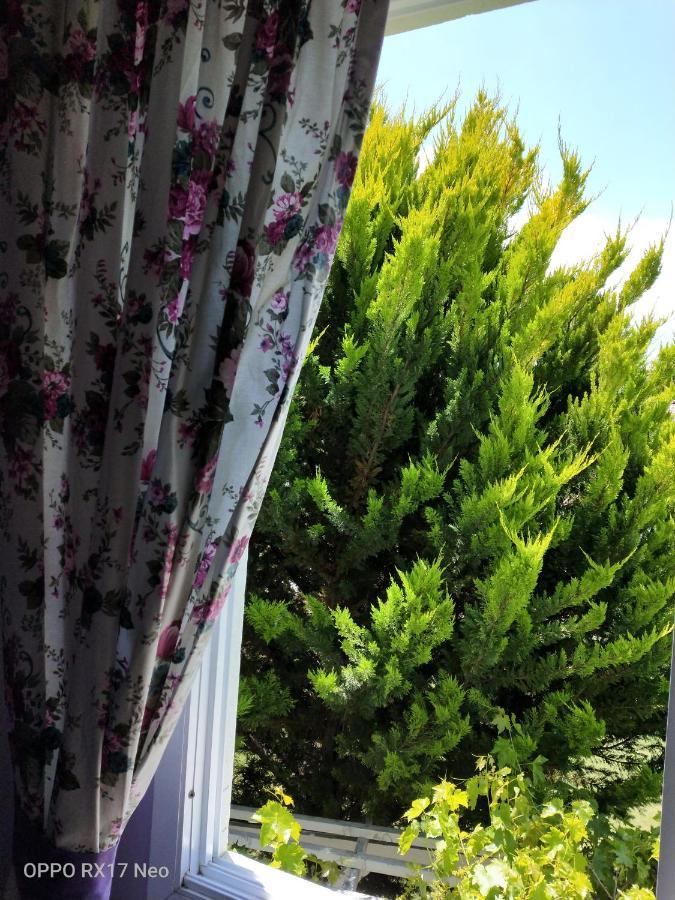 Maviev Otel Çeşme Esterno foto